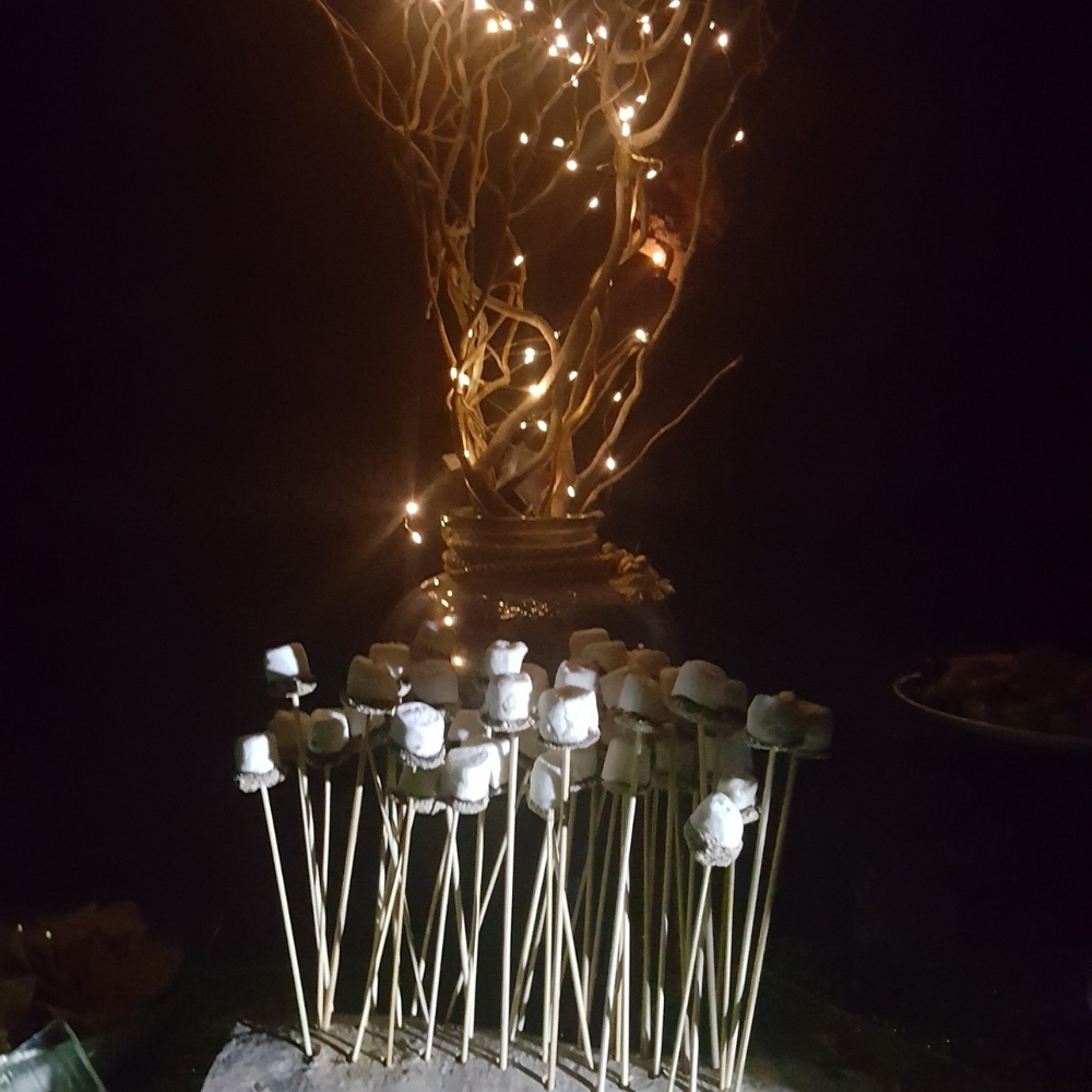 abandoned_mine_wedding_marshmallows