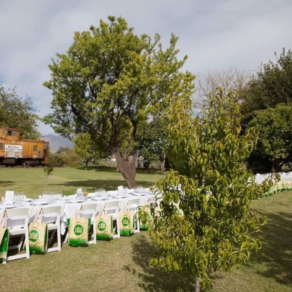 project_dinner_table_custom_farm_to_table_catering